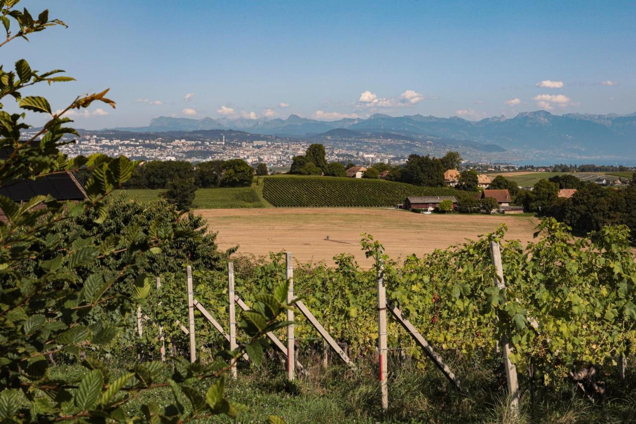 Appartamento Les Volets Bleus Morges Esterno foto