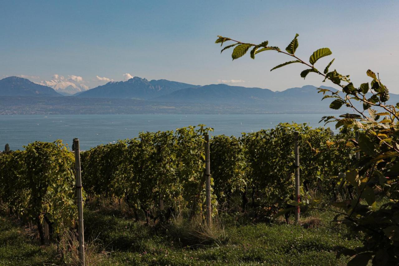 Appartamento Les Volets Bleus Morges Esterno foto